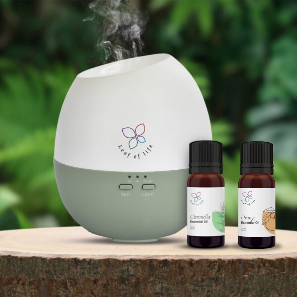 מארז שמנים אתריים | בייבילנד 2024